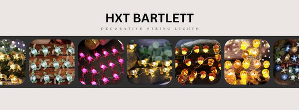 HXT Bartlett