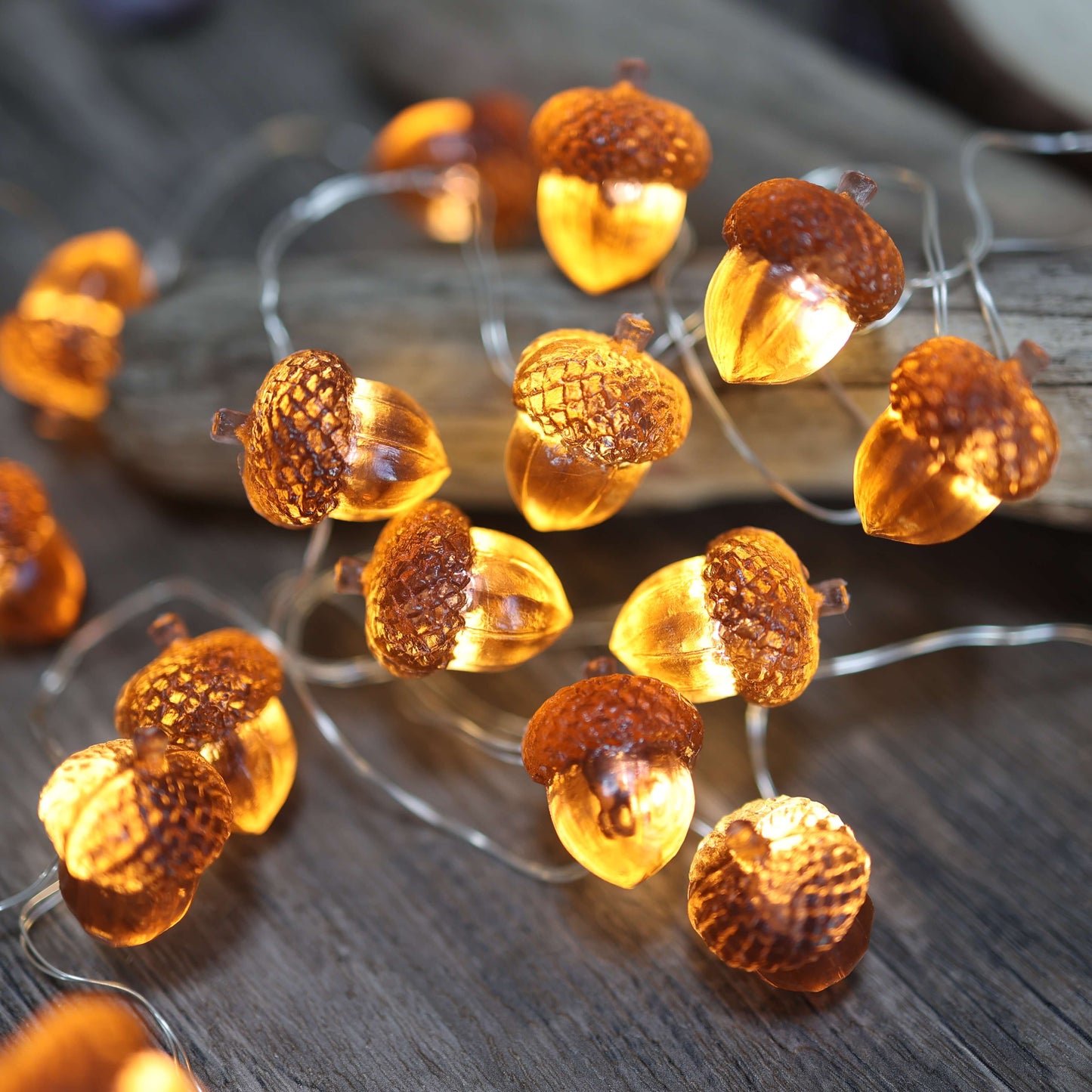 Fall Acorn Fairy Lights Thanksgiving String Lights